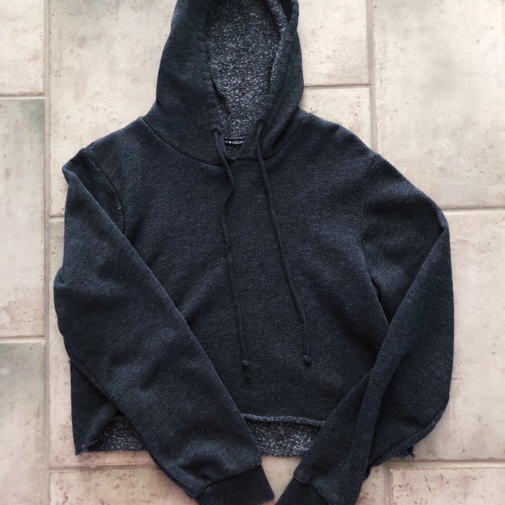Brandy Melville Cropped Hoodie